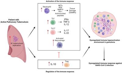 Immune responses in COVID-19 and tuberculosis coinfection: A scoping review